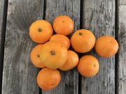 Shop extras clementines