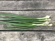 Shop extras spring onions