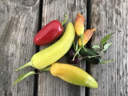 Shop extras chillies