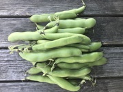 Shop extras broad beans