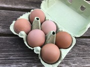 Shop extras eggs