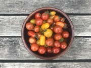 Shop extras cherry tomatoes400g